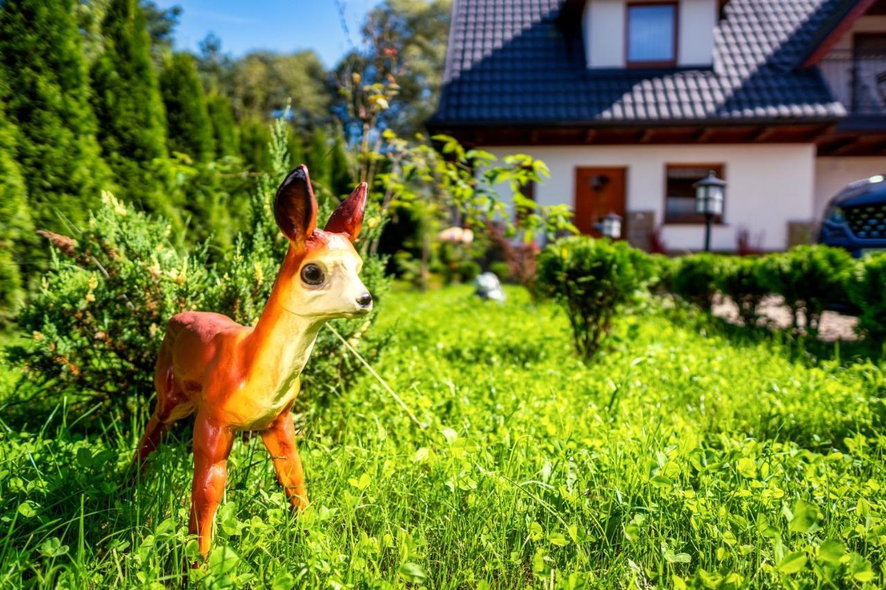 Domek U Eli Czarny Dunajec Bagian luar foto